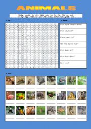 English Worksheet: Animals