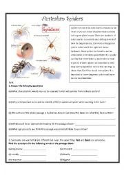 English Worksheet: Spiders in Australia