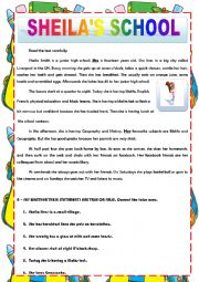 English Worksheet: SHEILAS SCHOOL