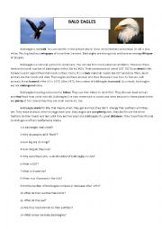 English Worksheet: Bald eagle is not bald