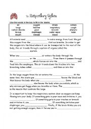 English Worksheet: The respiratory system