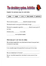 English Worksheet: The circulatory system