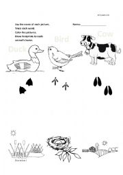 English Worksheet: Duck, Cow, Pig kinder matching