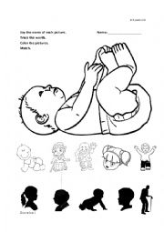 Baby & Family Review Kinder worksheet