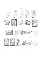 English Worksheet: Animals
