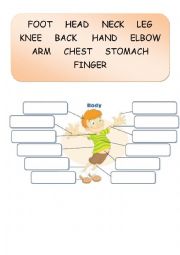 English Worksheet: Parts of the body