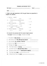 English Worksheet: Grammar Test