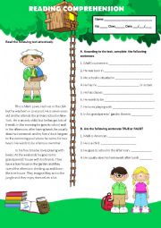 English Worksheet: READING COMPREHENSION