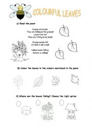 English Worksheet: autumn