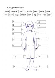 English Worksheet: Body parts