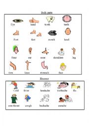 English Worksheet: parts of the body & illness