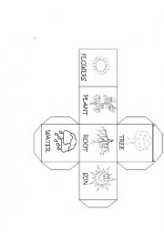 English Worksheet: Plants die