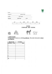 English Worksheet: SINGULAR AND PLURAL TEST