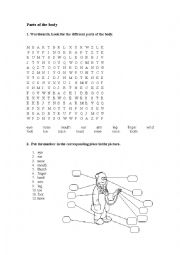 English Worksheet: Parts of the body