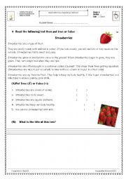 English Worksheet: informational text