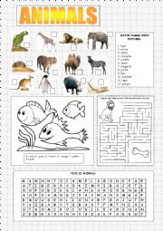 English Worksheet: ANIMALS 