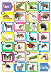 English Worksheet: ANIMALS 