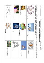 Citizenship and Civic Responsibility Vocabulary Anticipation Guide