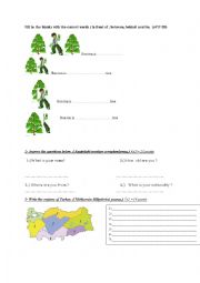 English Worksheet: fifth grade exam