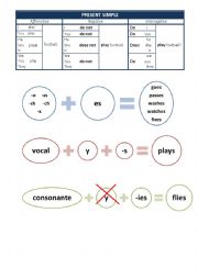 Present simple explanation and exercises