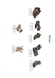 English Worksheet:  SHOES PICTIONARY 