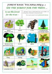 FOREST BASIC VOCABULARY part 1 (a pictionary)