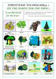 English Worksheet: FOREST BASIC VOCABULARY part 1 (a pictionary)