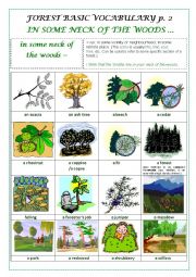 English Worksheet: FOREST BASIC VOCABULARY part 2 (a pictionary)