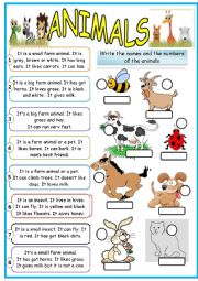 English Worksheet: animals