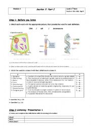 English Worksheet: module 4 section 2 presentation 1