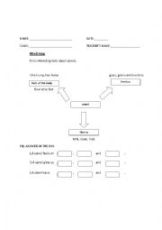 English Worksheet: mind map of camel