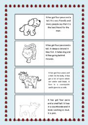 English Worksheet: Describing animals