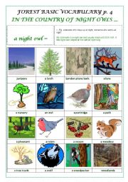 English Worksheet: FOREST BASIC VOCABULARY part 4 (a pictionary)