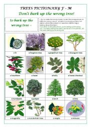 English Worksheet: TREES PICTIONARY F- M