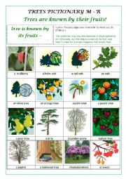 English Worksheet: TREES PICTIONARY M - R