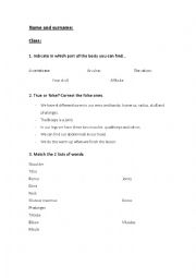 English Worksheet: Locomotor system