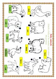 English Worksheet: Baby animals
