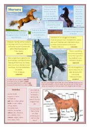 English Worksheet: Lead in to the book: WAR HORSE