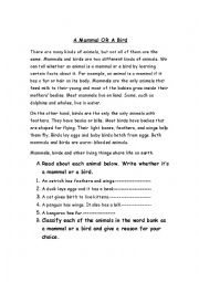 English Worksheet: A mammal or a bird