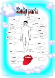 English Worksheet: body parts