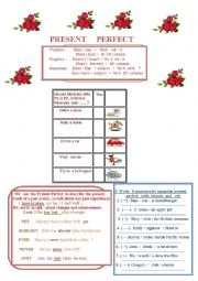 English Worksheet: Present   Perfect 