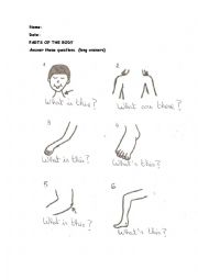 English Worksheet: Parts of the body