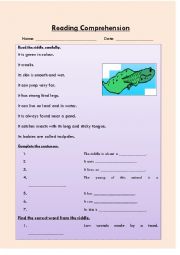 English Worksheet: Reading Comprehension