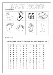 English Worksheet: Body Parts