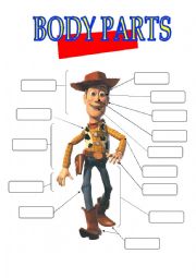 English Worksheet: WOODYS BODY PARTS