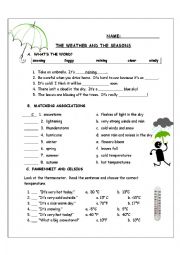 English Worksheet: The Weather and the Seasons