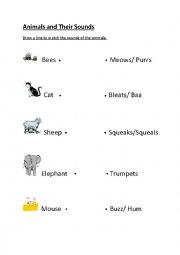 English Worksheet: Animals and Their Sounds