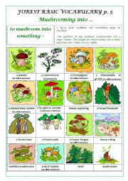 English Worksheet: FOREST BASIC VOCABULARY part 5 (a pictionary)
