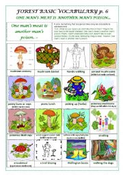 English Worksheet: FOREST BASIC VOCABULARY part 6 (a pictionary)