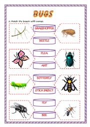 English Worksheet: BUGS